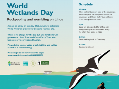 World Wetlands Day in Lihou